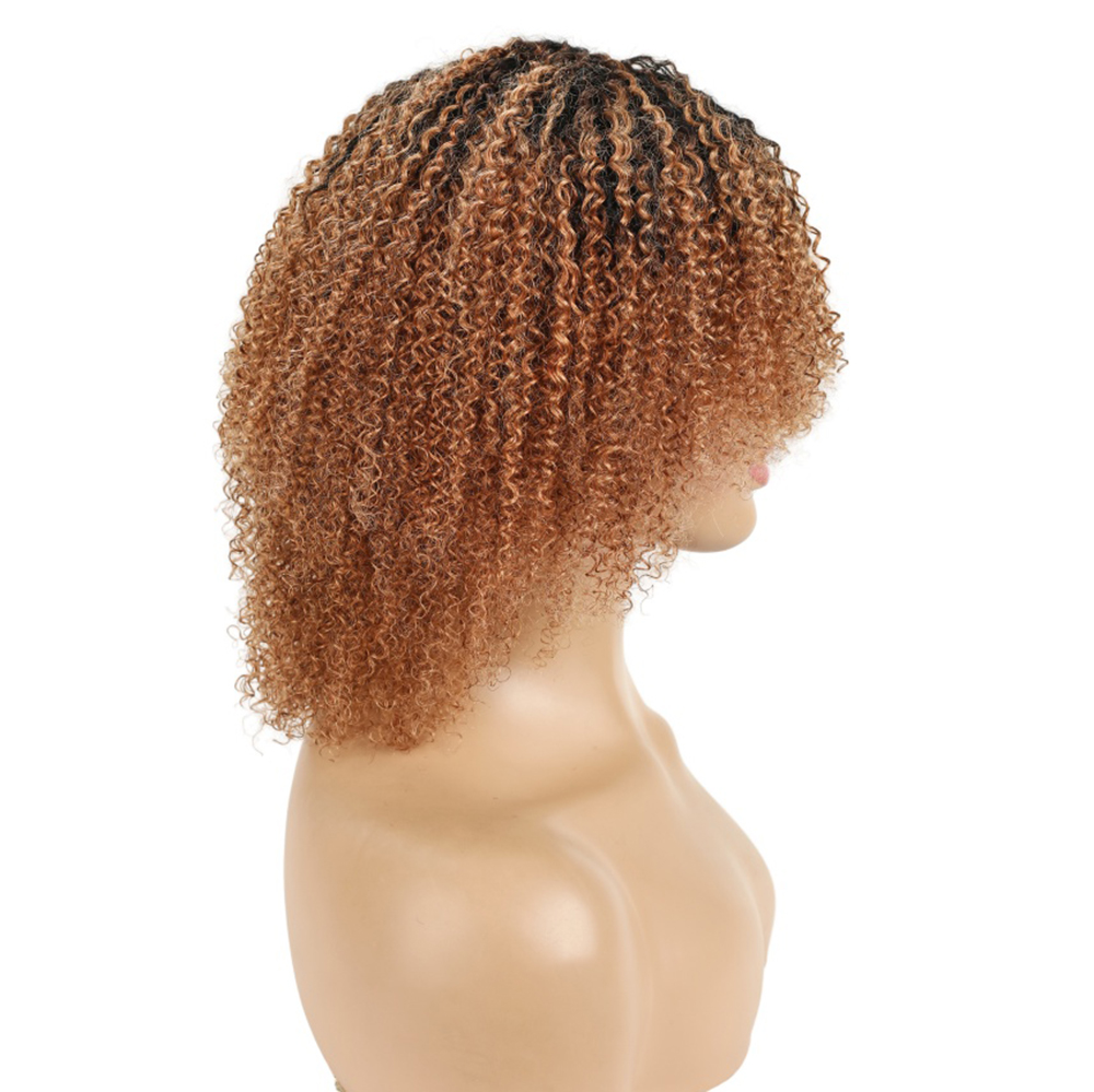 วิกผมมนุษย์แท้แบบ Afro Kinky C - Short Pixie Cut Wig Human Hair Cheap บทวิจารณ์และราคา